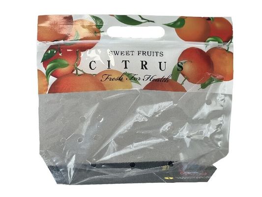 Emballage alimentaire personnalisé Sac fermeture à glissière debout pour les fruits avec trou de perforation